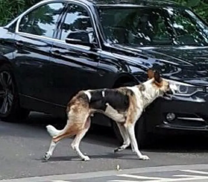 13606609 10205997853699808 2395402938218510005 n