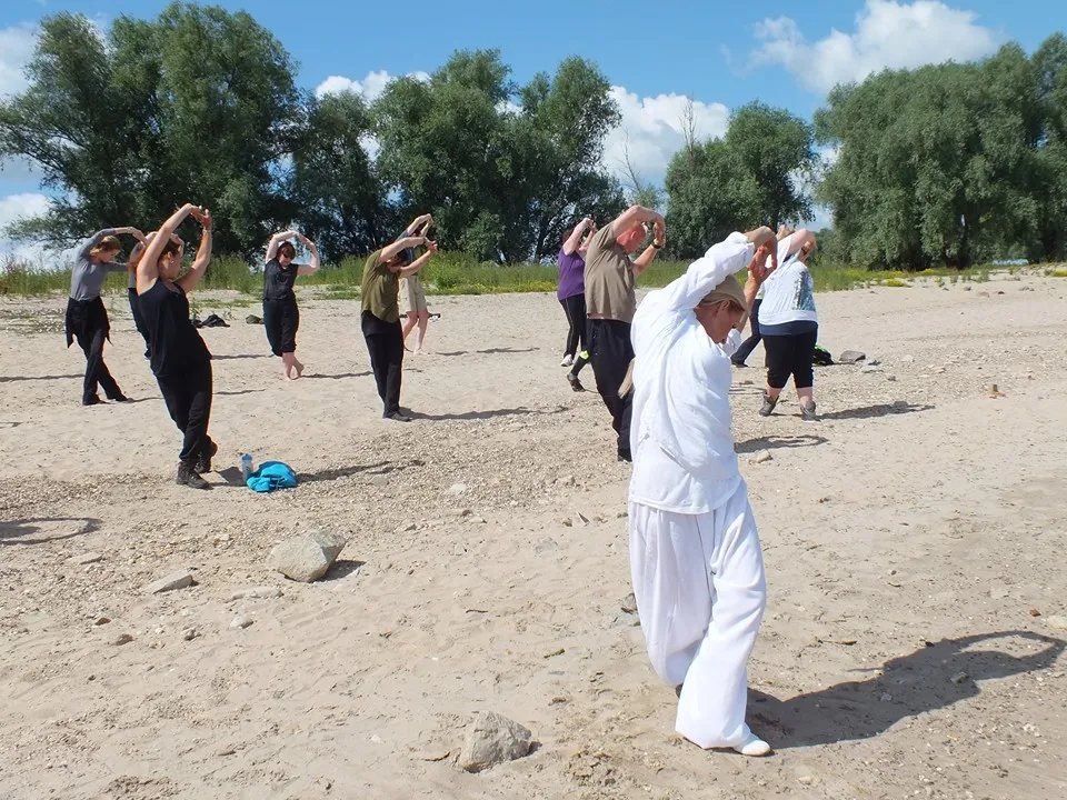 14232425 1099451940137956 2535206116781462059 n