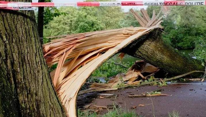 150727 stormschade amsterdam 25 juli 2015 guda g flickr cc by 20 e1438027001450 715x408