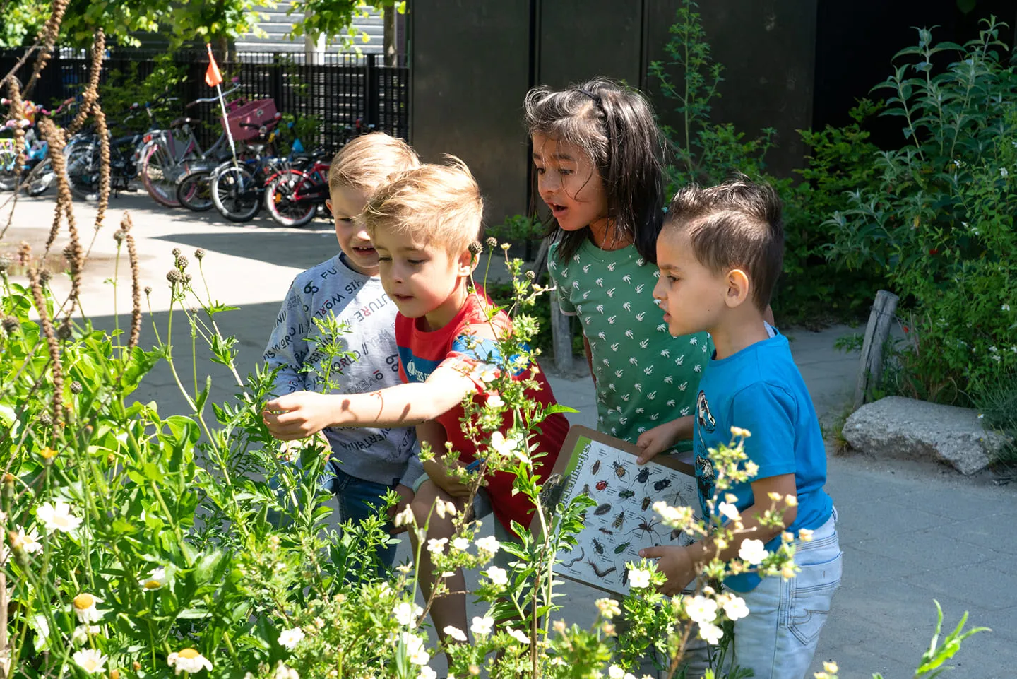 173653308 4001161466633641 1972784690805658567 n