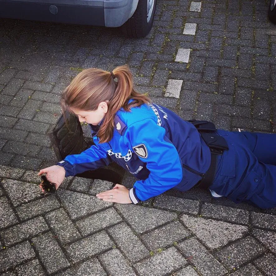 18058049 1494412997298791 3528825209070068602 n