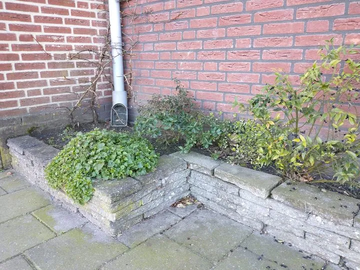 184534706 4073227742760346 5800260448946372257 n