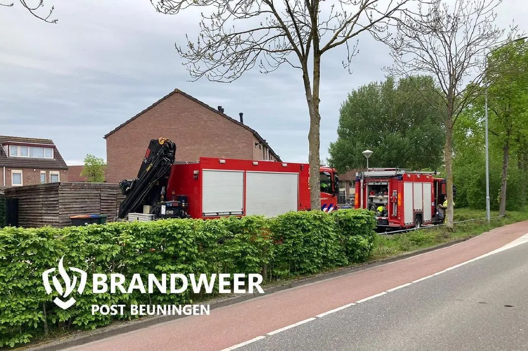 184546395 2032961883520804 2070391435378076099 n