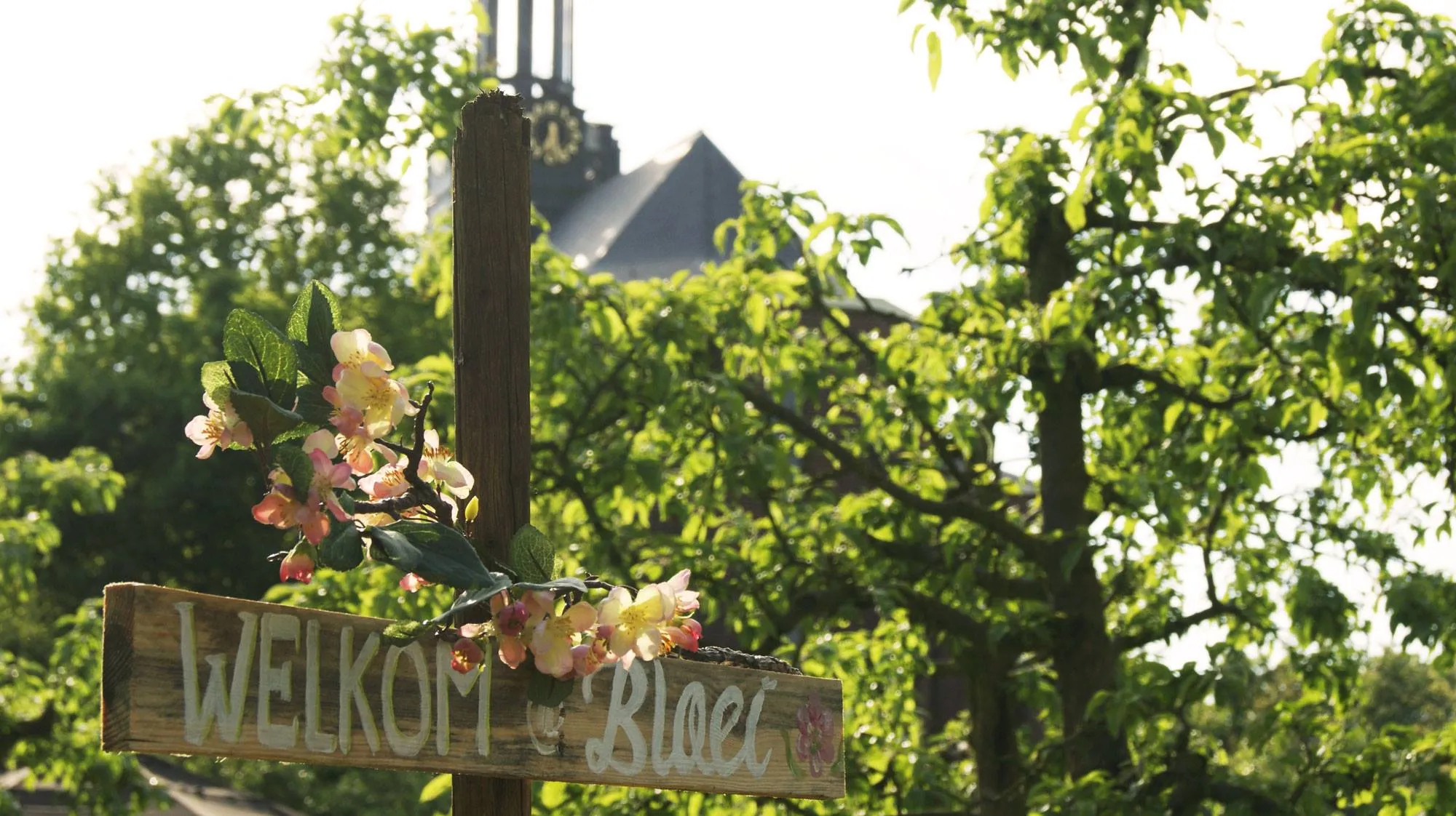 18489479 1914382635485779 6924501969518496619 o