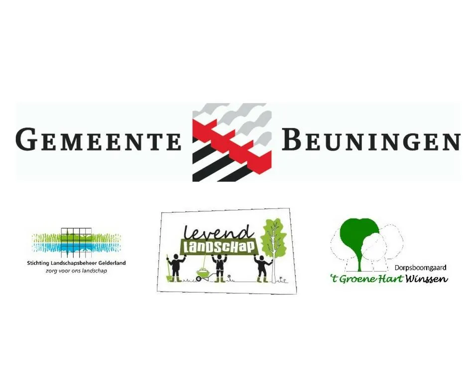 18814180 1288080244580532 4679030199819738357 n