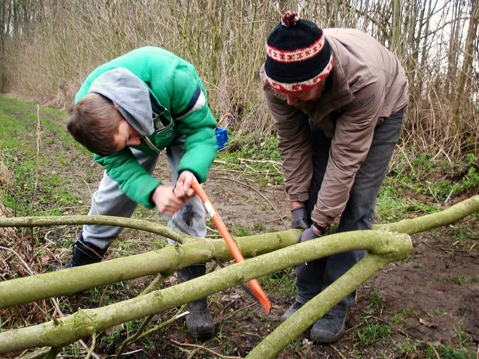 19114 787182598031560 4474601140580812795 n