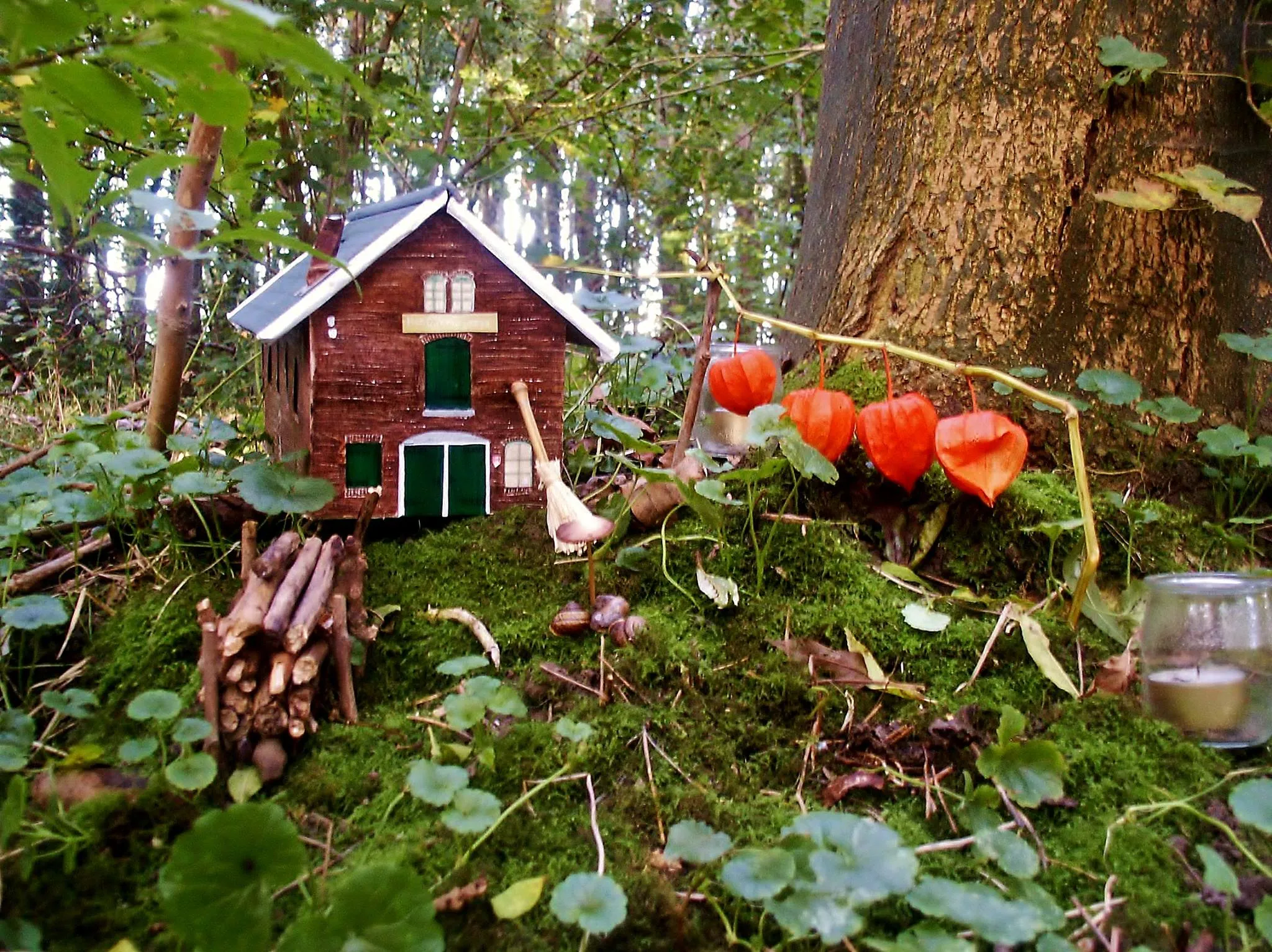 2017 fotodijkmagazijn2017 10 06kabouterroodslag