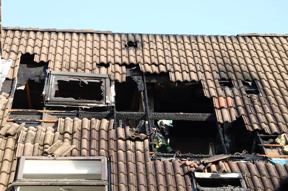 20190322162435 img 7968