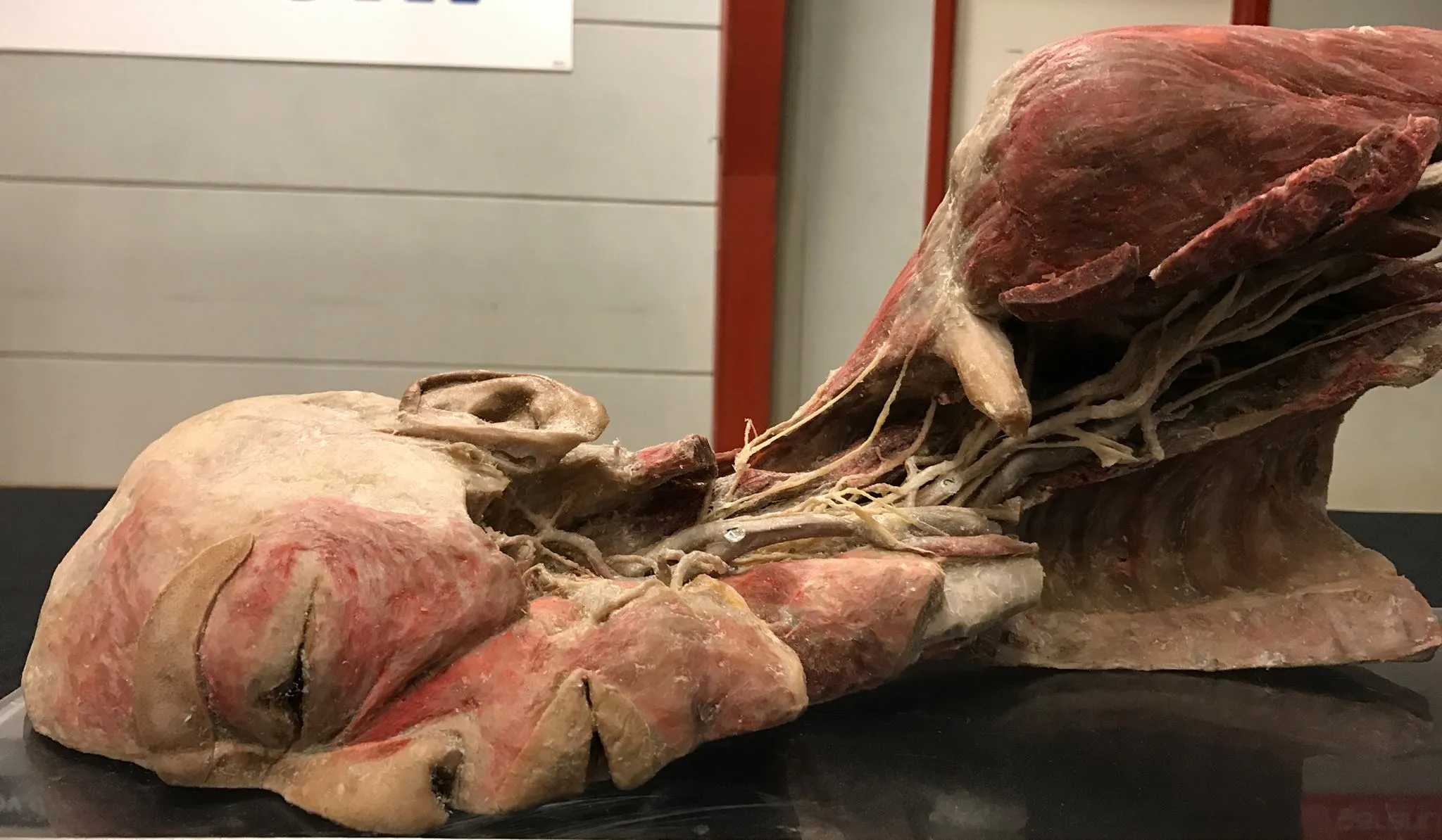 22104386 291111508040250 1497239544633056002 o