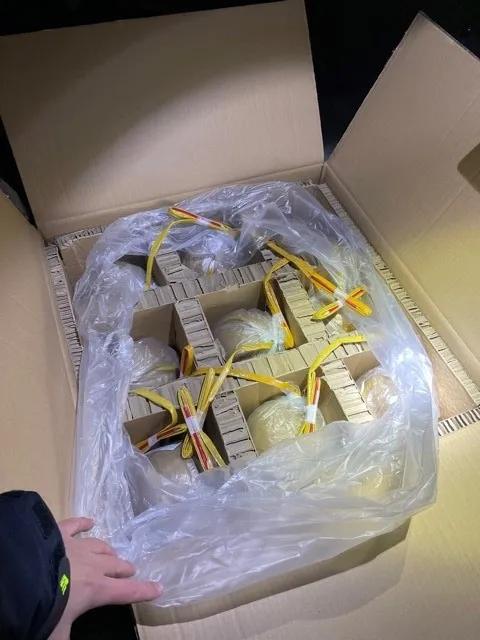 263434251 278880527598666 1275875942646115328 n