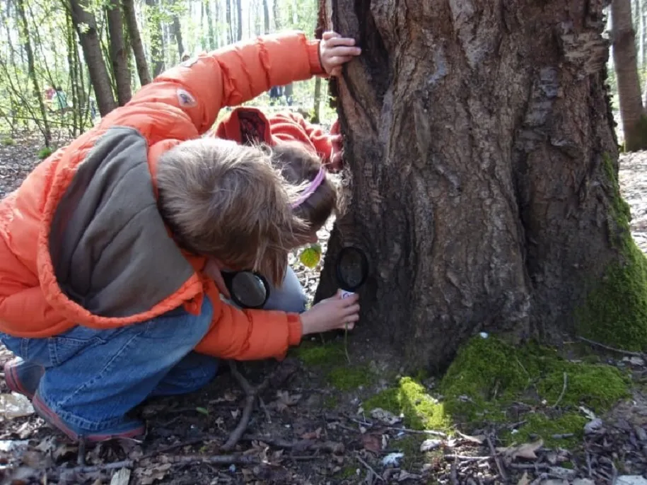 279557907 5168562356560207 779017028375632400 n