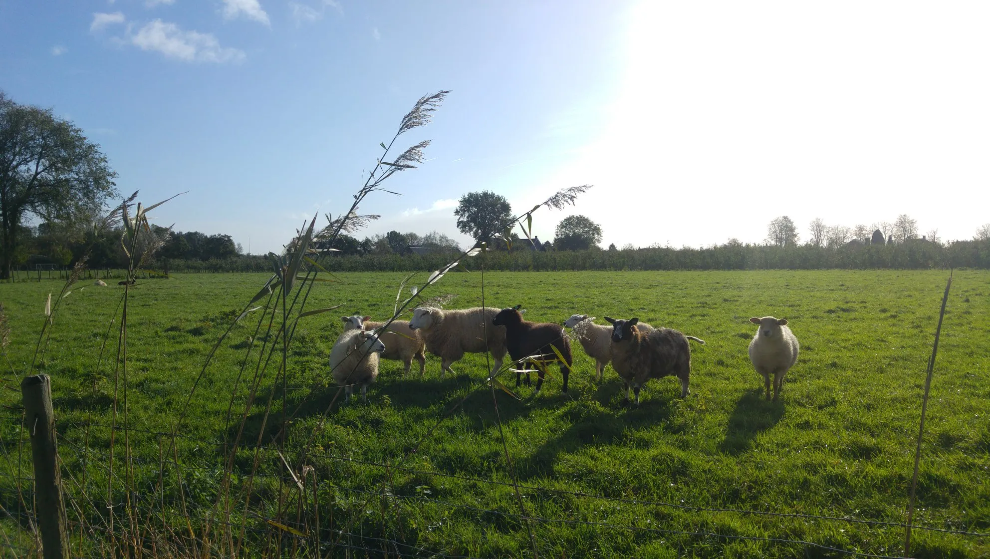 28424093 1607102902698772 2899861615111522718 o