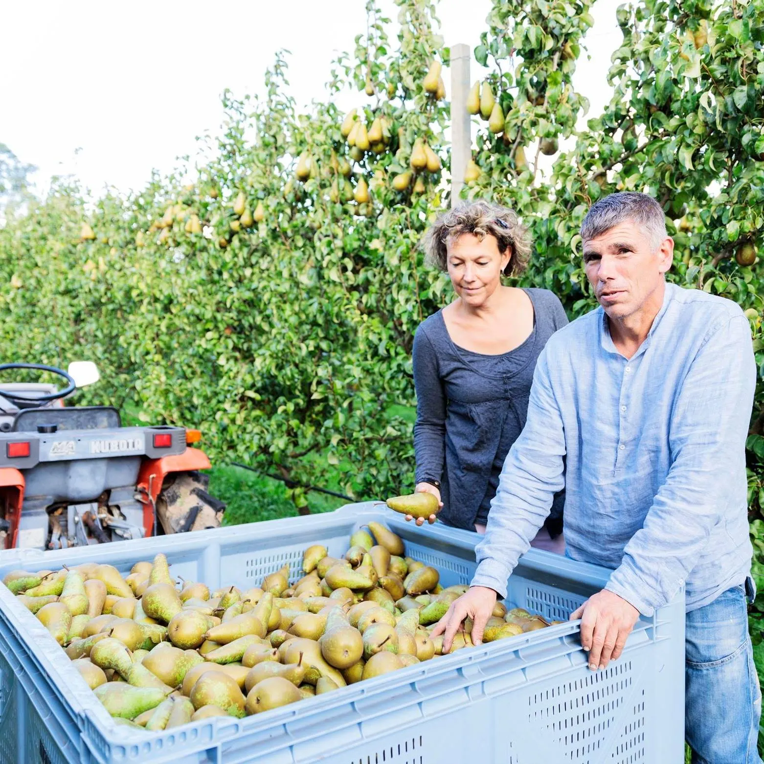 298344633 541219987800537 4124247852438820210 n