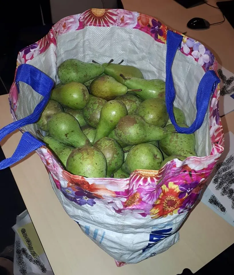 40469227 1794015540651491 8201524885353136128 n