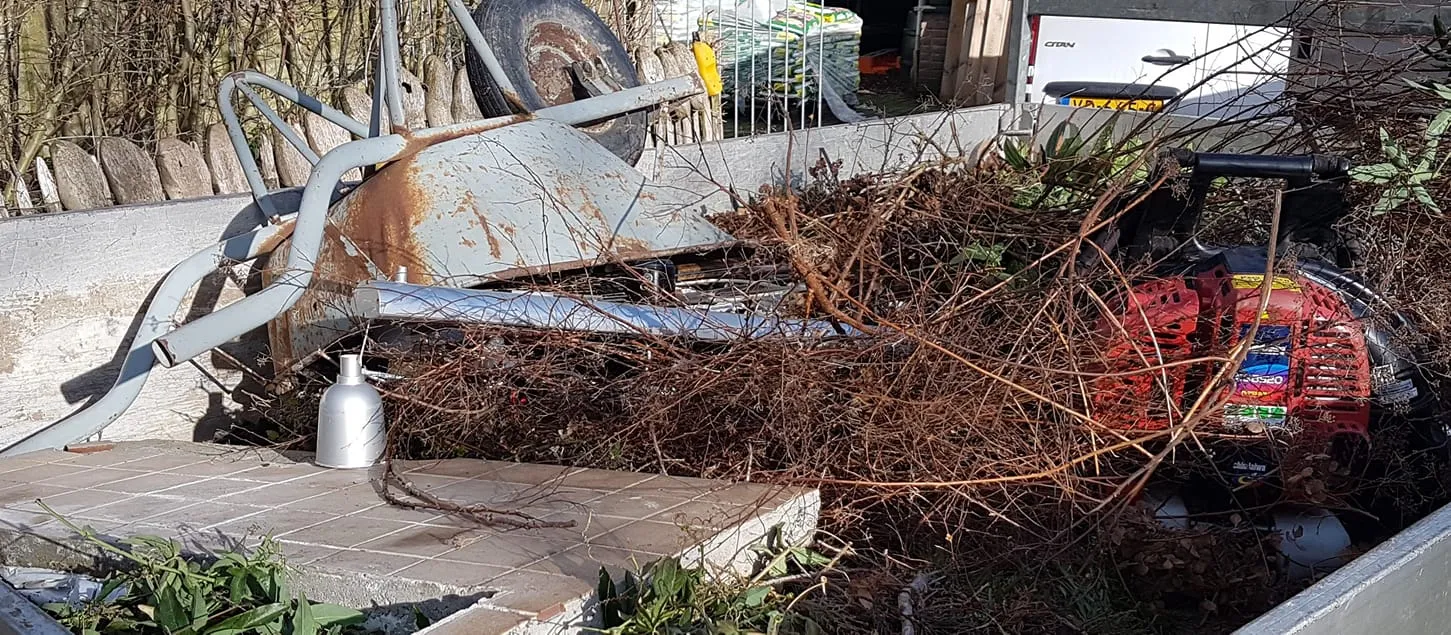 53302268 2040693275983715 8525389290899767296 o