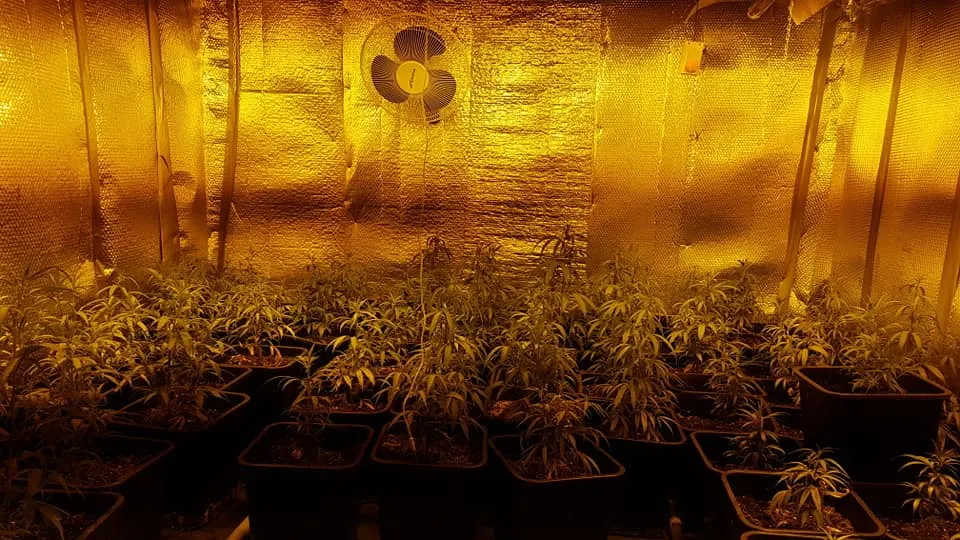 54515873 2063947326991643 7541241000090402816 n