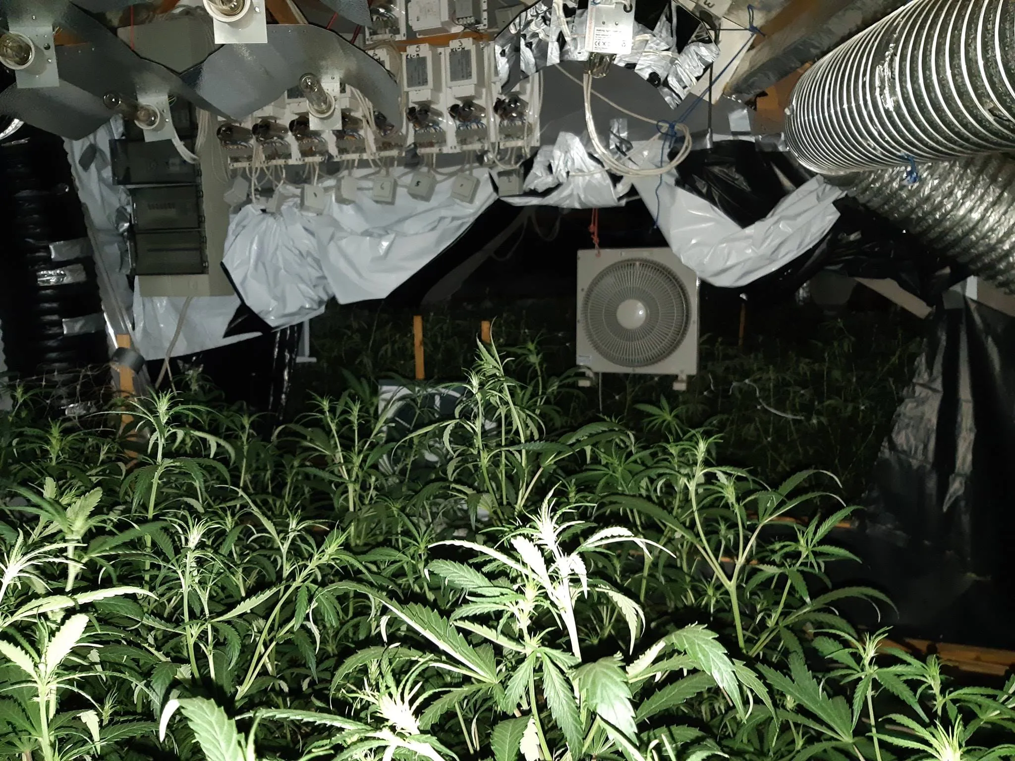 56483232 2076048729114836 5856707500354568192 o