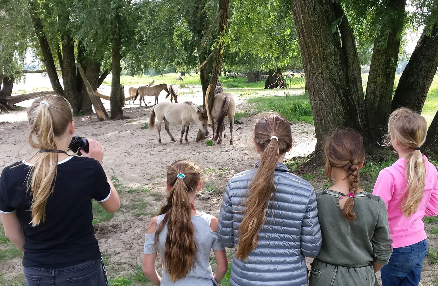 59481803 2311723842244087 275723594594516992 o