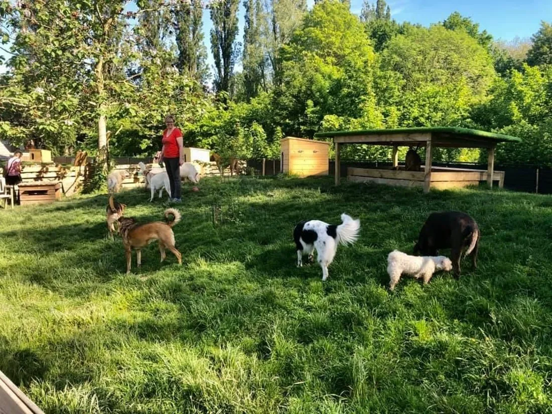 5a0afb1e35a449d390b318f9040be011