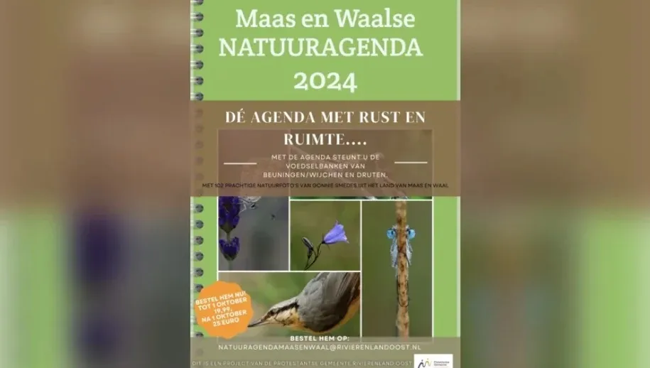 5d2c210a 9fe1 432d 9cad dcf14dab3957 thumb840 915x518 1