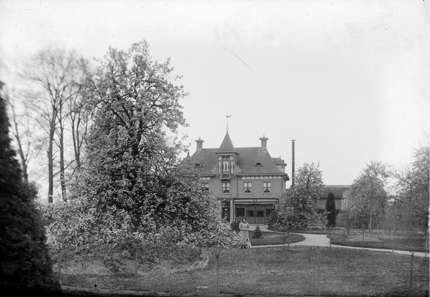 64294415 2141513755903839 9196894216309964800 o