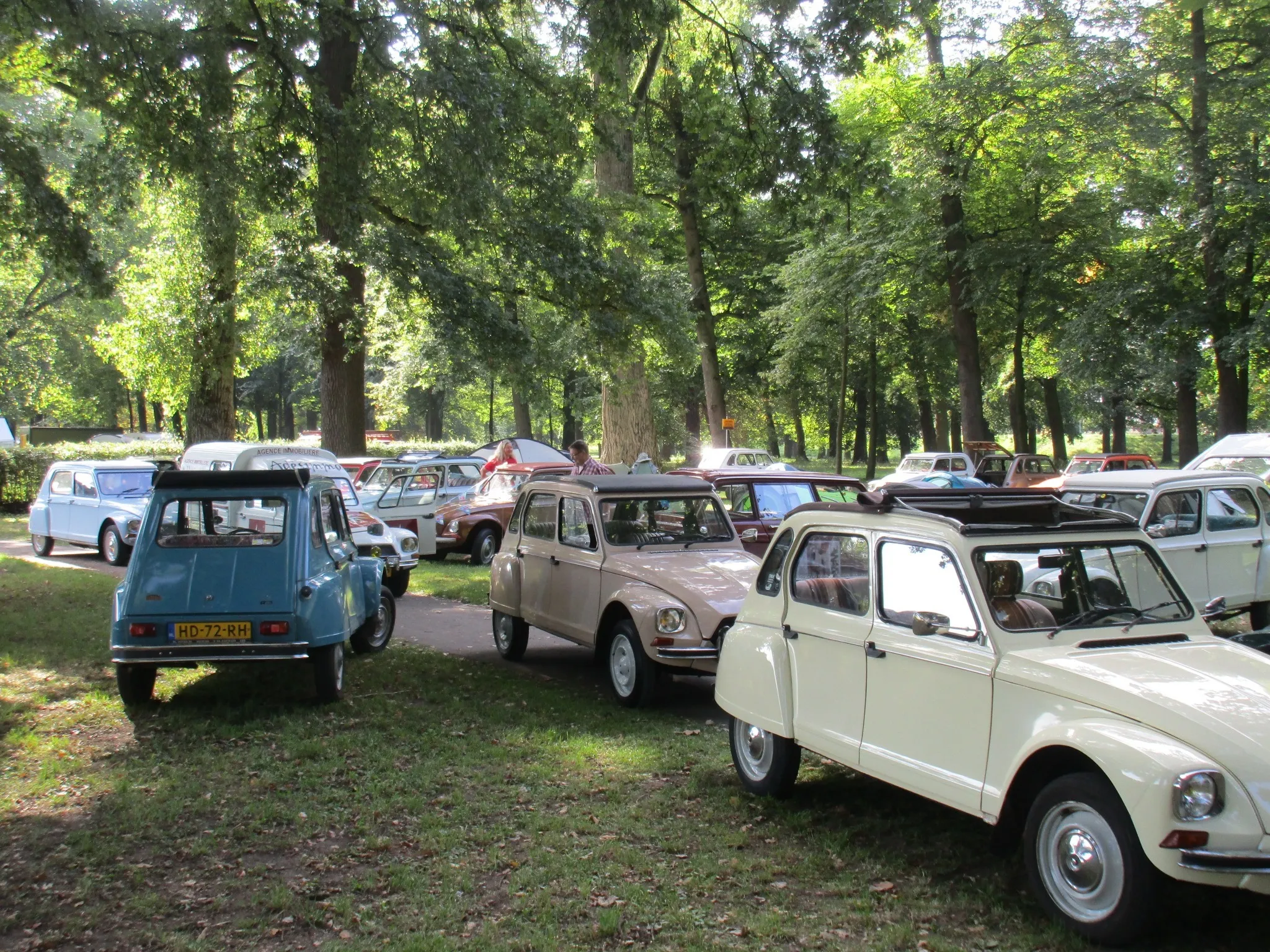 69390717 3080674755307491 3190995757003964416 o