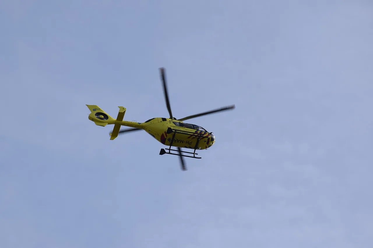 a703a4fa 0684 440b a5d5 472f1e453cfe