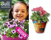 a8129bv3m7nwivvrxsahop8ls 137375