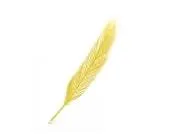 a90bhdzkzu1lzo3yzzqrkr8f0 62073