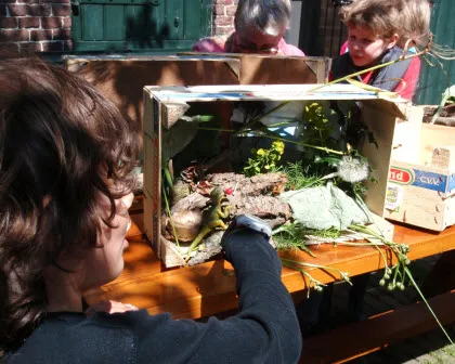 aklc9bxxmww1ce2i5iqmyjhmp 173033