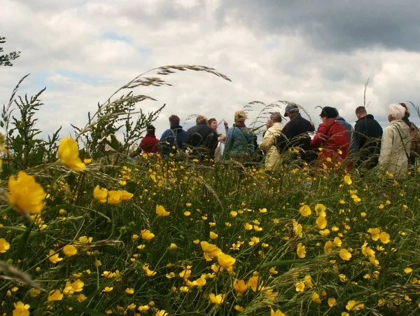 aluy20o6a6krtlsjvz5wpd3km 229004