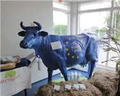 az237w6awwo55zy0doa9gwkq4 29825