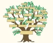 b4y52zmhhs38mdla0gqs9v1c1 136587