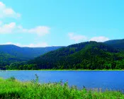 b8ex11v7k90xn7qhecnnne84z 117072