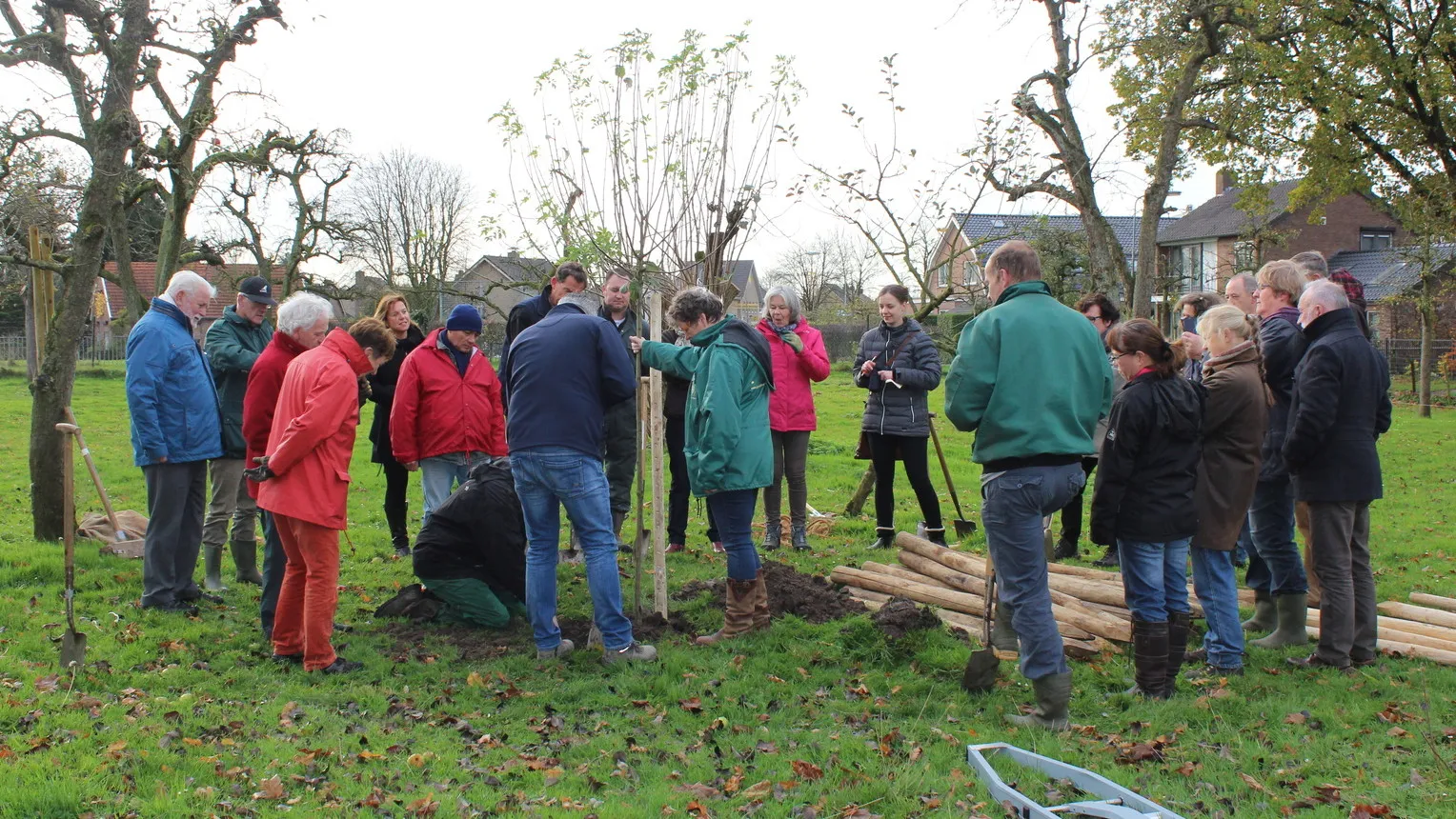 boomgaard winssen e1447670555544