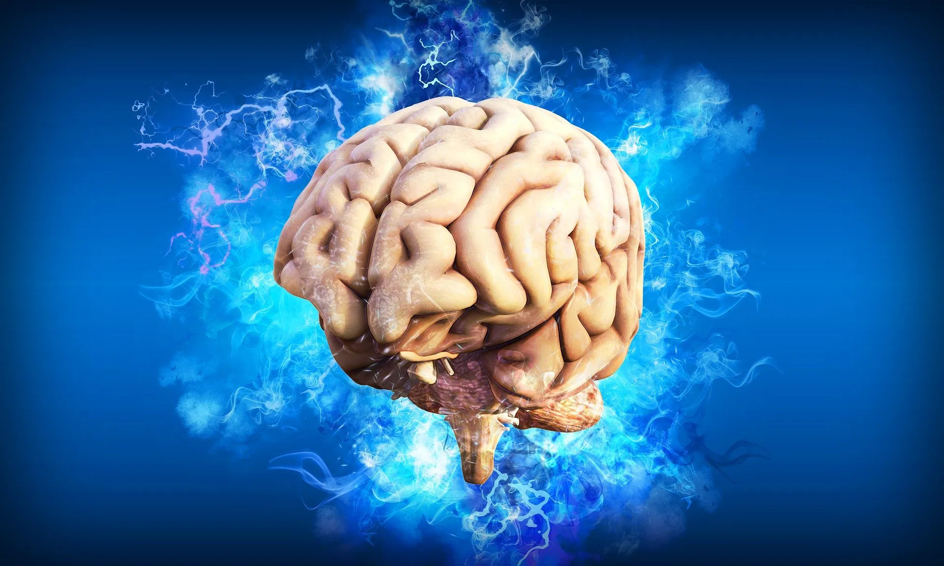 brain 4314636 1920