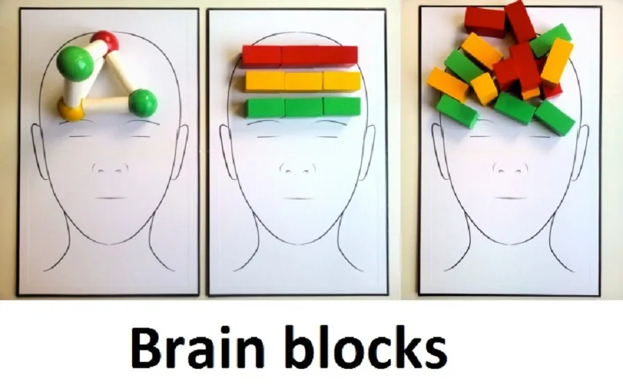 brainblocks fotos hoofden