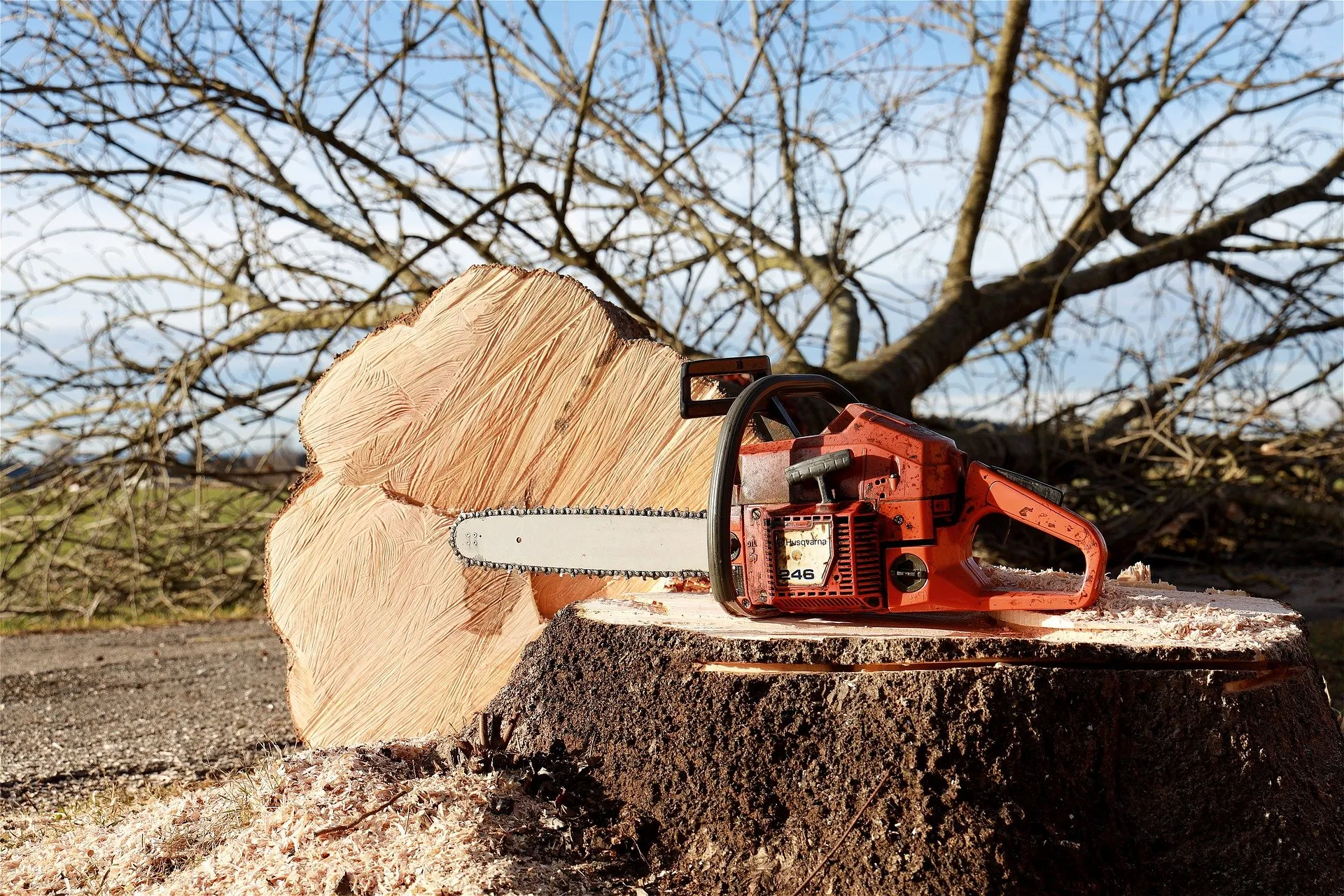 chainsaw 4815949 1920