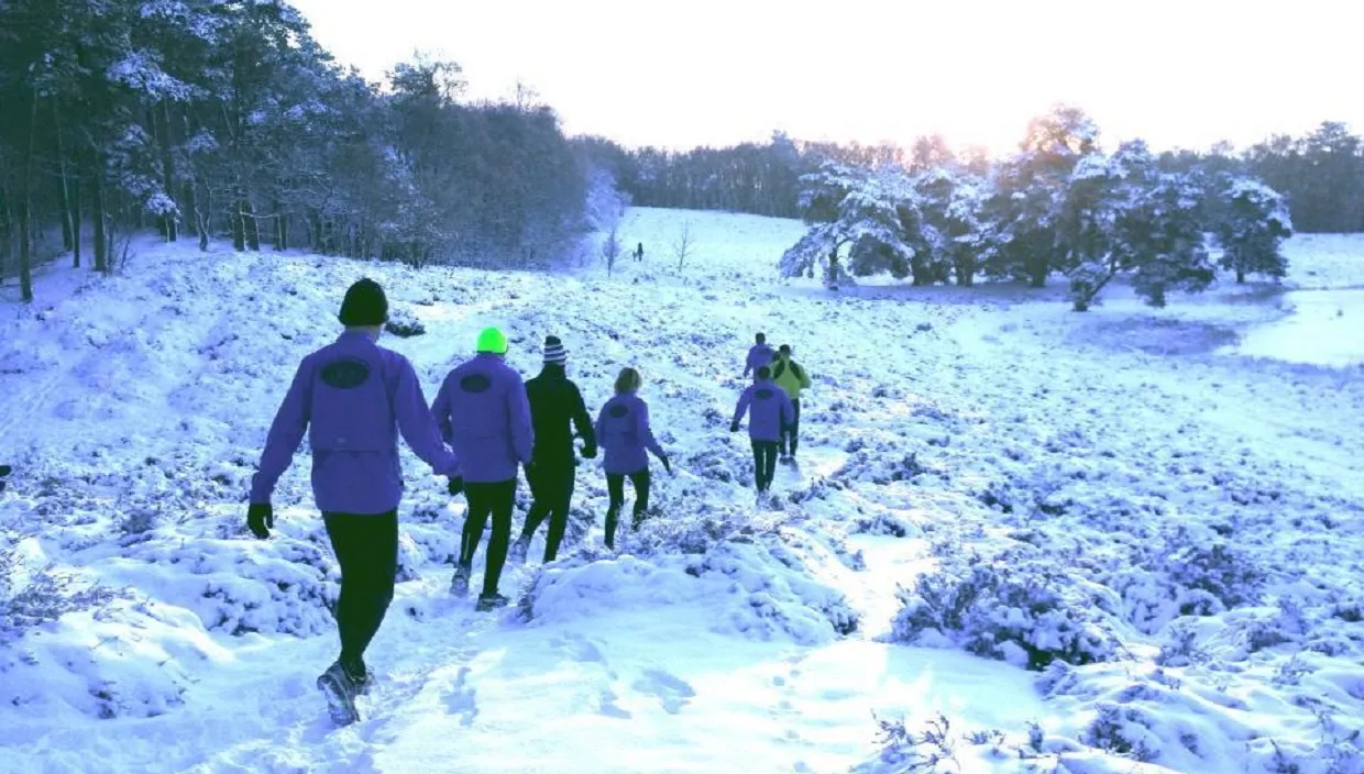 cm2wev36581fcyimvkdxlc4jo nieuwjaarsfoto hvb 2