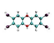 cnyn1j8ptne51r5t9iuhisy6l 31675