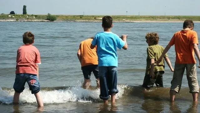 crjb8hz9oph08gcs0462jnwrs afbeelding ww snap