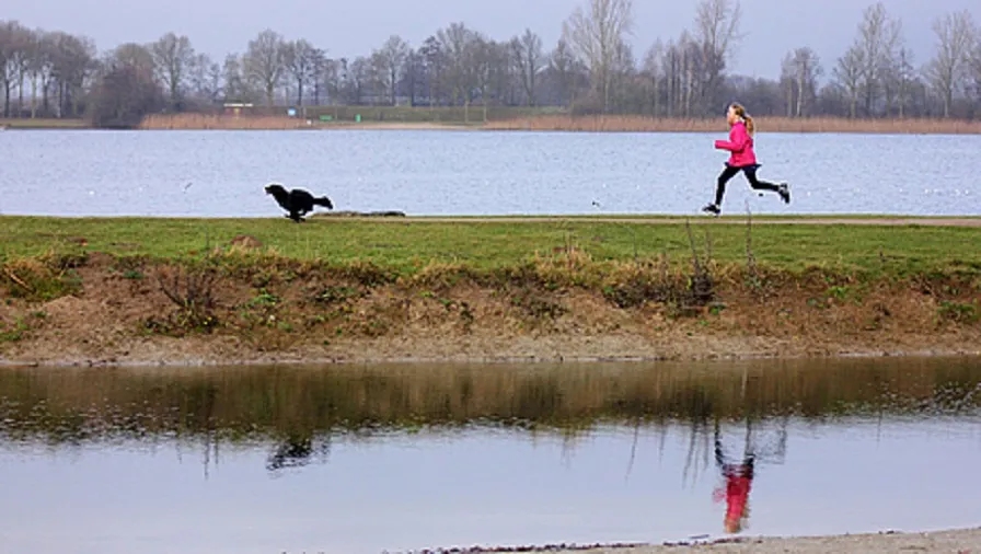 csm laagseizoen hondenseizoen copyright leisurelands 1dbd3ef92a