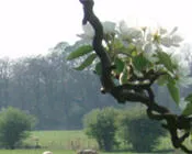 cu5yceza0keneuod6ljdpa391 59780