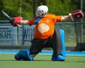 d09w76uazpt605835rinzo3hw 141958