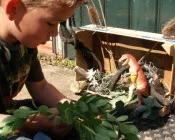 d0ws4469jly84zl7pyuor7gra 224822