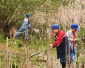 d4tzu0r2hwopjk77xwf32loie 144481