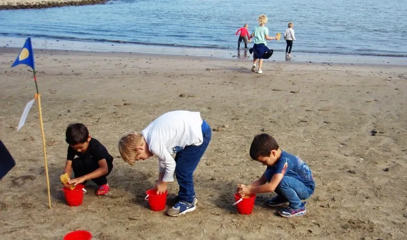 de uiterwaard aan de waal is de spannendste speeltuin van beuningen