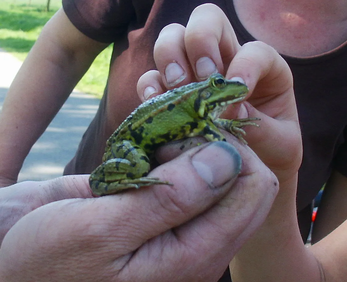 dijkmagazijnwaterbeestjes2