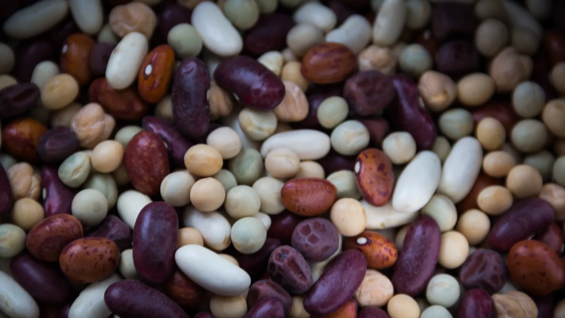dried beans 763158 1920 e1446078215219