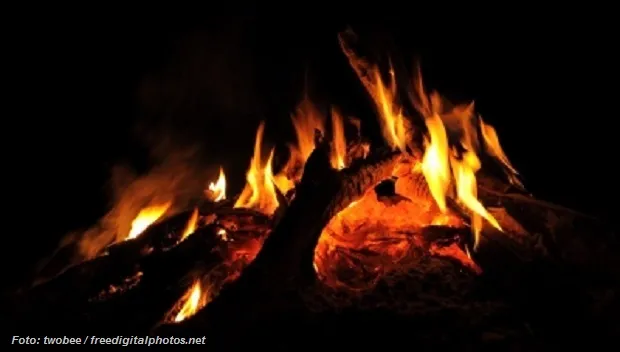 dujoi7tind9wz6q6r0lc3k4m6 id 100117037 twobee freedigitalphotos net